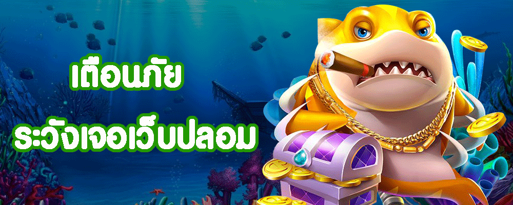 เตือนภัย ระวังเจอเว็บปลอม